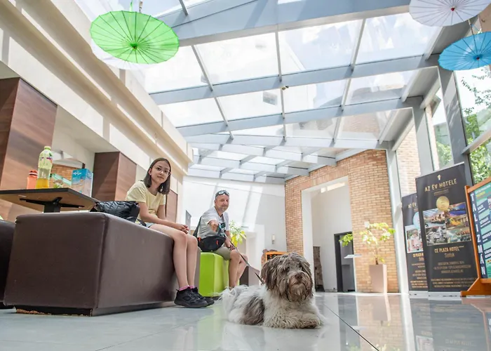 Siofok hotels near reverse house