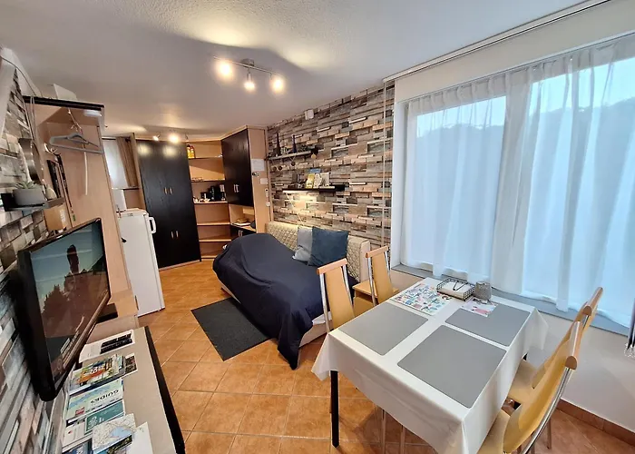 Pet friendly Foki Apartman Siofok